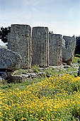 Selinunte the temple hill. Ruins of temple F. 